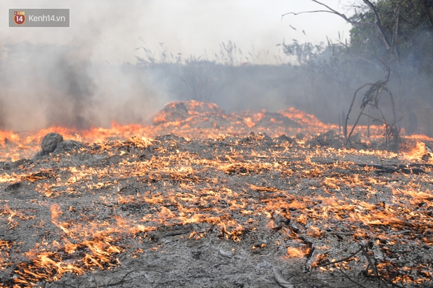 Hà Nội: Cháy lớn bãi rác rộng hơn 1.000m2 dưới chân cầu Thanh Trì, khói đen bao trùm cả bầu trời - Ảnh 5.