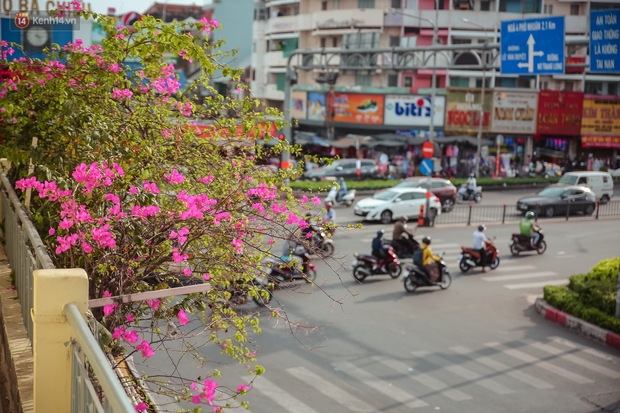 Ngắm nhìn một Sài Gòn bình yên trong ngày cuối năm 2020 - Ảnh 3.