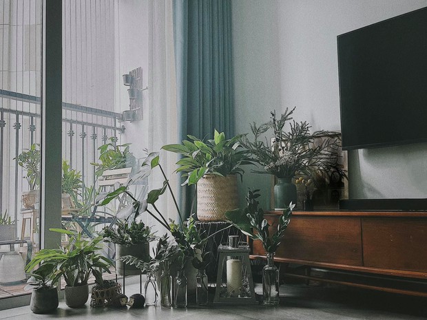 Căn hộ Vinhomes của nhà thiết kế nội thất: Tông màu xanh là lạ nhưng lên hình đẹp từng cm, sống ảo thì cực mê - Ảnh 3.
