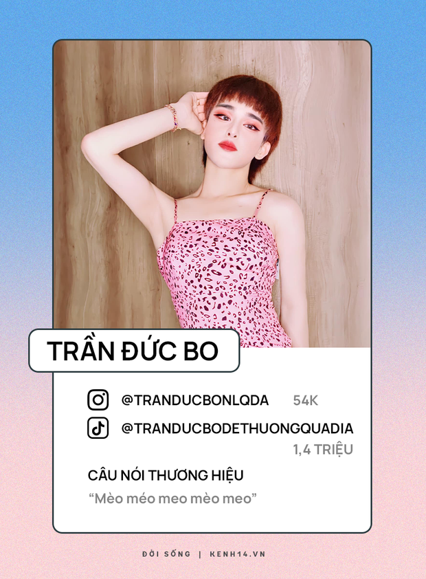 Bản đồ hiện tượng mạng 2020: Cả ma mới lẫn chiếc chiếu từng trải đều hot, dân chơi hệ tối cổ cũng phải biết ít nhiều - Ảnh 4.