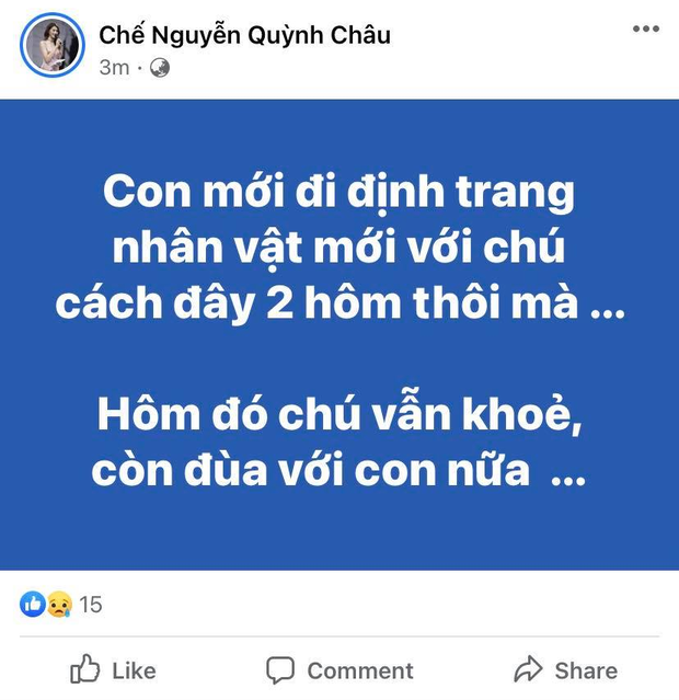 MXH Việt bàng hoàng trước sự ra đi của danh hài Chí Tài: Cúi đầu tiễn biệt chú, nụ cười tuổi thơ của con! - Ảnh 14.