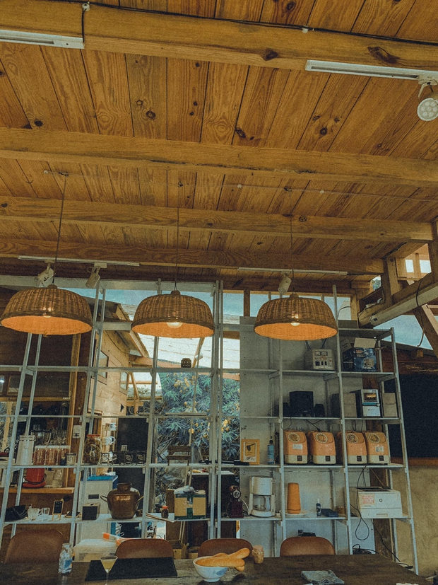 Chàng trai lên Đà Lạt dựng ngôi nhà gỗ xinh xắn, mở nông trại chiết tinh dầu: Nhìn là thấy một bầu trời bình yên - Ảnh 10.