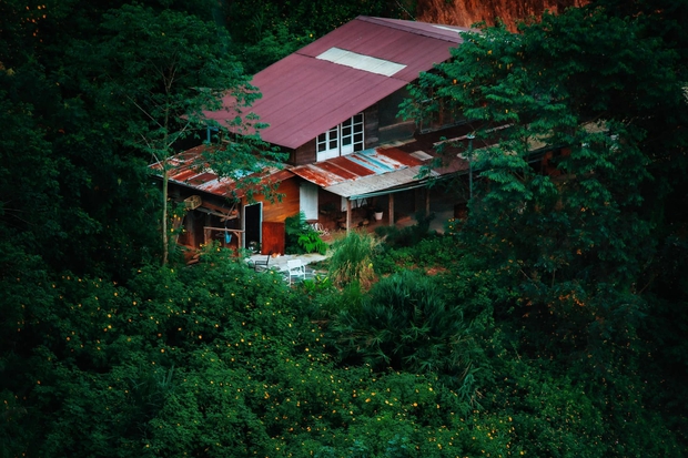 Chàng trai lên Đà Lạt dựng ngôi nhà gỗ xinh xắn, mở nông trại chiết tinh dầu: Nhìn là thấy một bầu trời bình yên - Ảnh 2.