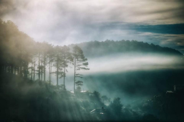 Chàng trai lên Đà Lạt dựng ngôi nhà gỗ xinh xắn, mở nông trại chiết tinh dầu: Nhìn là thấy một bầu trời bình yên - Ảnh 1.