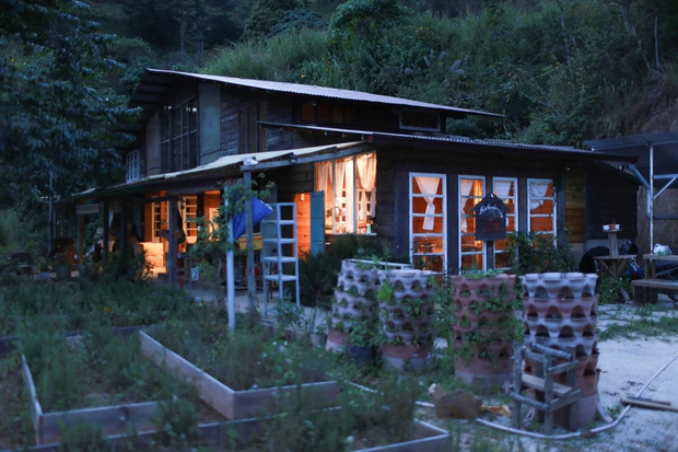 Chàng trai lên Đà Lạt dựng ngôi nhà gỗ xinh xắn, mở nông trại chiết tinh dầu: Nhìn là thấy một bầu trời bình yên - Ảnh 5.