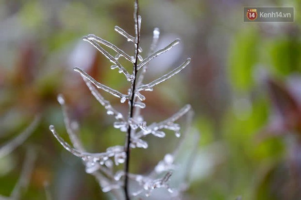 Du khách đổ lên đỉnh Ô Quy Hồ ngắm băng khi nhiệt độ đang là -1 độ C - Ảnh 7.