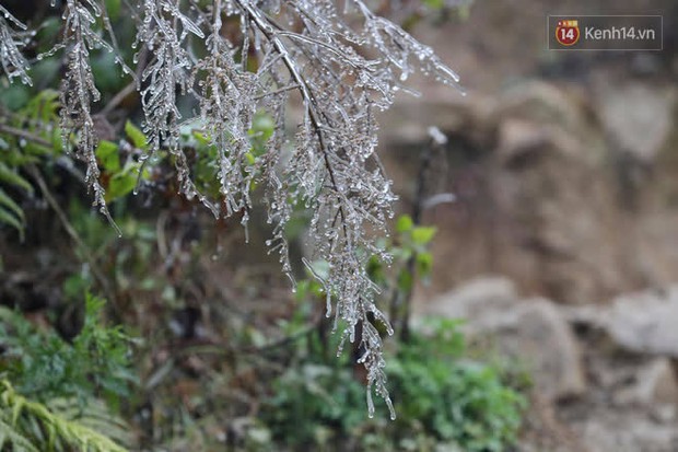 Du khách đổ lên đỉnh Ô Quy Hồ ngắm băng khi nhiệt độ đang là -1 độ C - Ảnh 6.