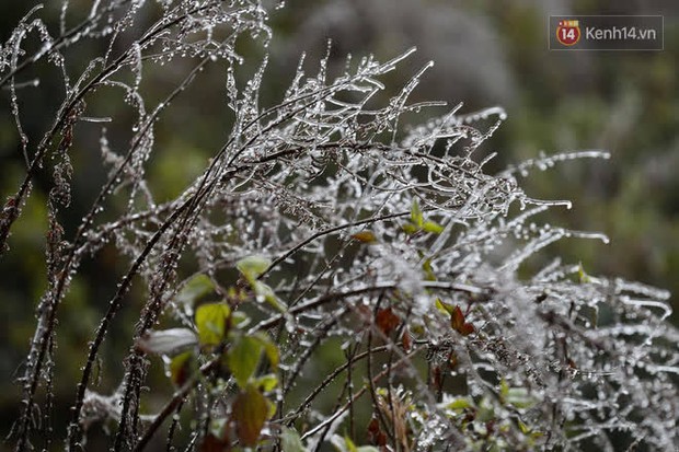 Du khách đổ lên đỉnh Ô Quy Hồ ngắm băng khi nhiệt độ đang là -1 độ C - Ảnh 5.