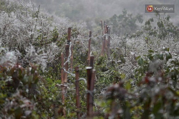 Du khách đổ lên đỉnh Ô Quy Hồ ngắm băng khi nhiệt độ đang là -1 độ C - Ảnh 4.