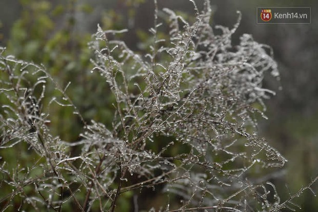 Du khách đổ lên đỉnh Ô Quy Hồ ngắm băng khi nhiệt độ đang là -1 độ C - Ảnh 3.