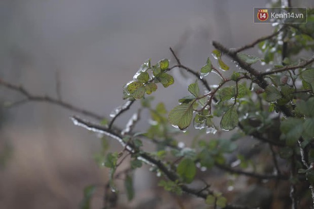 Du khách đổ lên đỉnh Ô Quy Hồ ngắm băng khi nhiệt độ đang là -1 độ C - Ảnh 2.