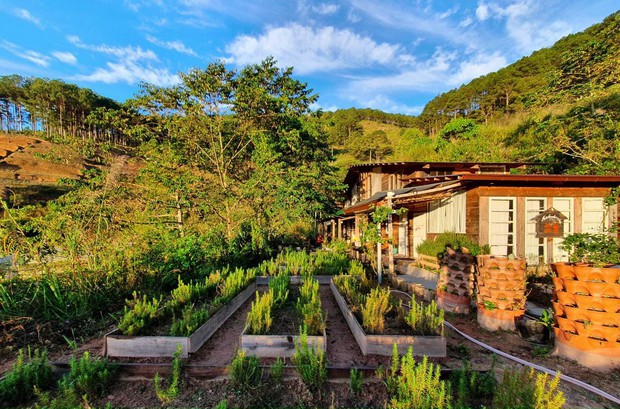 Chàng trai lên Đà Lạt dựng ngôi nhà gỗ xinh xắn, mở nông trại chiết tinh dầu: Nhìn là thấy một bầu trời bình yên - Ảnh 12.