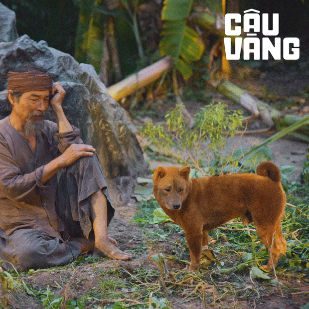 MXH bùng nổ bình luận trái chiều về Cậu Vàng: Khánh Vân, Hà Tăng, Châu Bùi đều khen ngợi nhưng khán giả lại nghĩ khác! - Ảnh 1.
