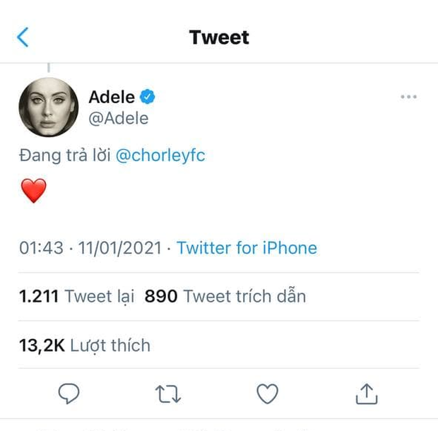 Adele overcame a 180 from management to log on to Twitter with one sole purpose: to like the video of a super handsome shirtless guy singing her hit!  - Photo 1.