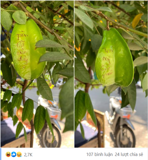 Sợ trộm mất khế, chàng trai này đã có pha xí phần đầy hài hước, đọc nội dung ai nấy phải phì cười - Ảnh 1.