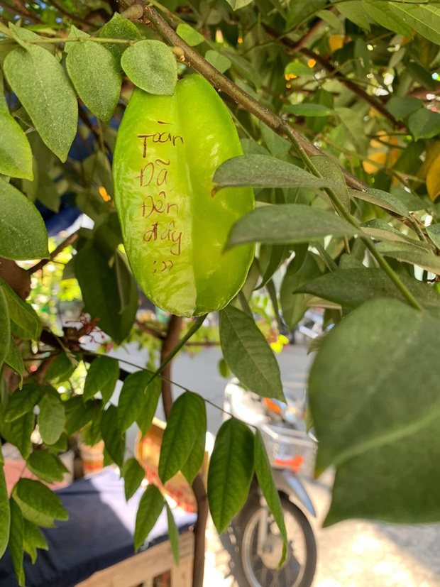 Sợ trộm mất khế, chàng trai này đã có pha xí phần đầy hài hước, đọc nội dung ai nấy phải phì cười - Ảnh 2.