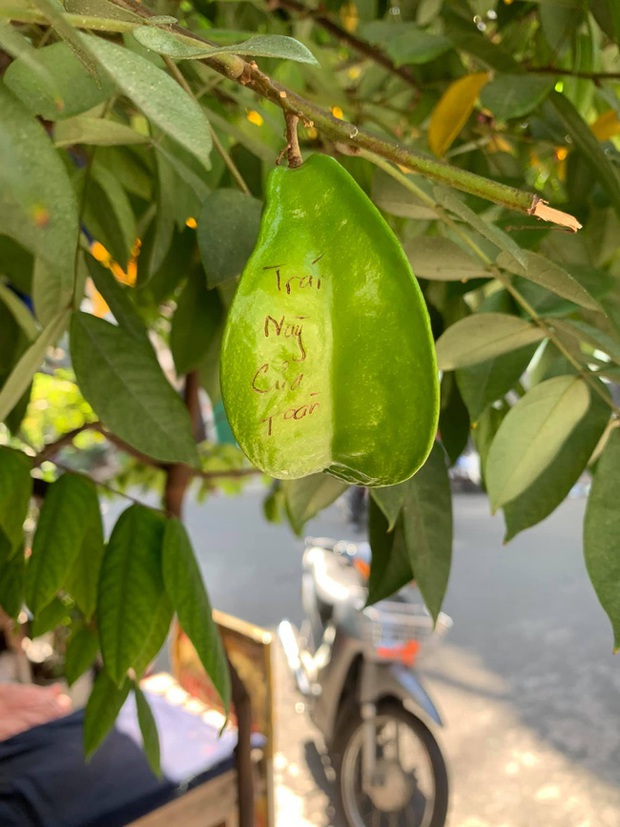 Sợ trộm mất khế, chàng trai này đã có pha xí phần đầy hài hước, đọc nội dung ai nấy phải phì cười - Ảnh 3.