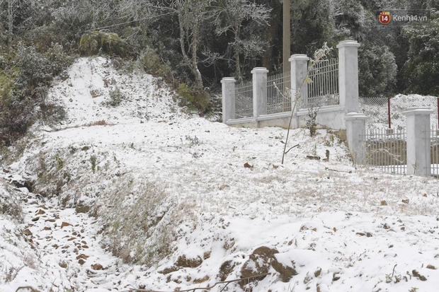 Cặp đôi Hà Nội chụp ảnh cưới giữa trời băng tuyết kỳ ảo ở Y Tý, dân tình trầm trồ: Đỉnh cao săn tuyết là đây - Ảnh 1.