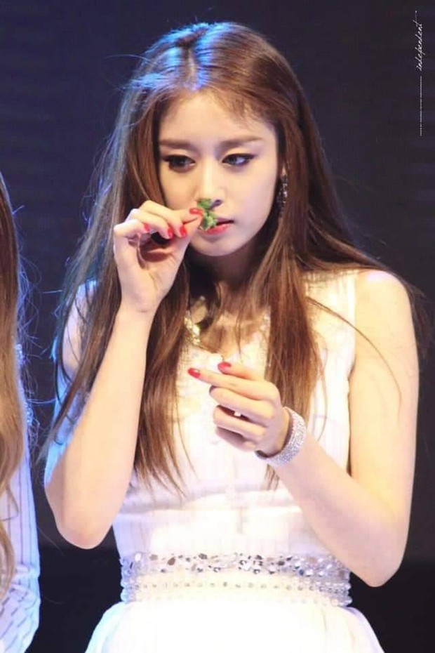 Biểu cảm “xém xỉu” của Jiyeon (T-ara) khi lần đầu thử ngửi rau ngò khiến netizens nghiêng ngả: Coi mà tắc thở giùm! - Ảnh 2. Biểu cảm “xém xỉu” của Jiyeon (T-ara) khi lần đầu thử ngửi rau ngò khiến netizens nghiêng ngả: Coi mà tắc thở giùm! - Ảnh 2.