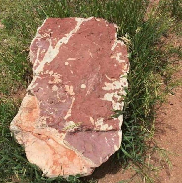 Nhìn mấy vật này mà tôi cứ nghĩ chúng là đồ ăn thức uống, đảm bảo 9/10 người đều “hoa mắt” cho xem! - Ảnh 3. Nhìn mấy vật này mà tôi cứ nghĩ chúng là đồ ăn thức uống, đảm bảo 9/10 người đều “hoa mắt” cho xem! - Ảnh 3.
