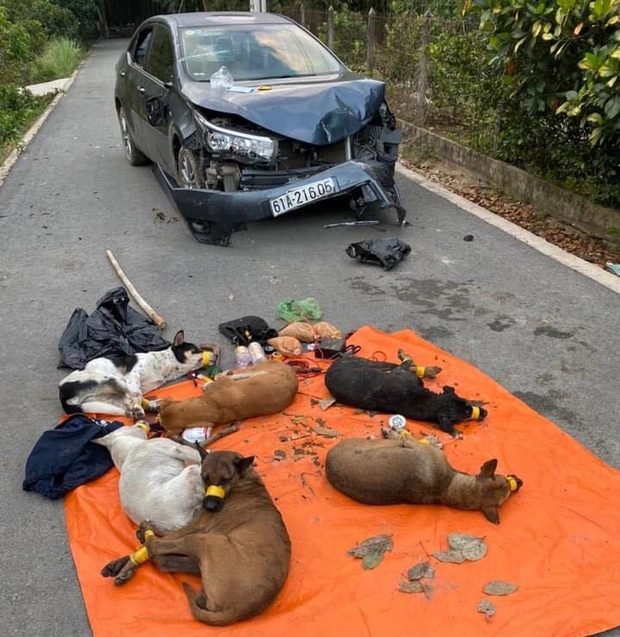 Bình Dương: Kẻ trộm chó liều lĩnh lái ô tô tông thẳng vào Cảnh sát khi bị phát hiện - Ảnh 1.