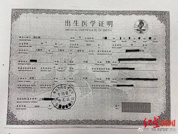 Chủ tịch hãng game tử vong nghi bị đầu độc để lại 10 nghìn tỷ đồng cho 3 đứa con, tình nhân và con ngoài giá thú bất ngờ xuất hiện tranh tài sản - Ảnh 3. Chủ tịch hãng game tử vong nghi bị đầu độc để lại 10 nghìn tỷ đồng cho 3 đứa con, tình nhân và con ngoài giá thú bất ngờ xuất hiện tranh tài sản - Ảnh 3.