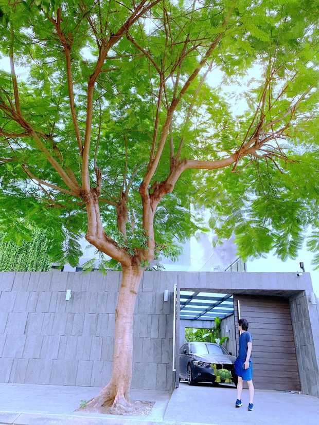 Hé lộ không gian sống của Mr Siro, bước vào sân là biết ông hoàng nhạc sầu sở hữu khối tài sản không phải dạng vừa - Ảnh 1.