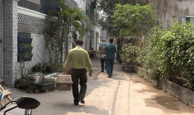 Vụ đàn khỉ “đại náo” khu dân cư Sài Gòn: Con khỉ đầu tiên đã bị bắt gọn - Ảnh 10.