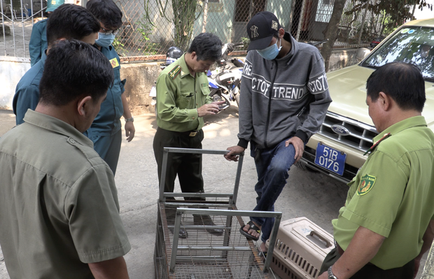 Vụ đàn khỉ “đại náo” khu dân cư Sài Gòn: Con khỉ đầu tiên đã bị bắt gọn - Ảnh 3.