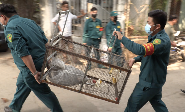 Vụ đàn khỉ “đại náo” khu dân cư Sài Gòn: Con khỉ đầu tiên đã bị bắt gọn - Ảnh 8.