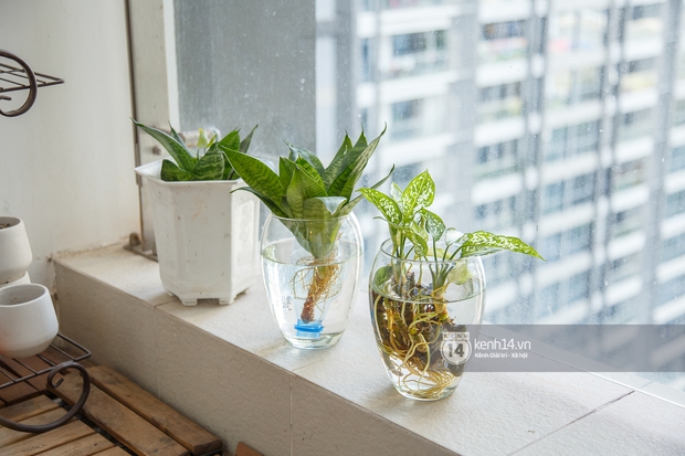 Thanh Tâm bắp cần bơ lần đầu khoe nhà Vinhomes 5 tỷ do đại gia tài trợ, nội thất đơn giản bất ngờ - Ảnh 8. Thanh Tâm bắp cần bơ lần đầu khoe nhà Vinhomes 5 tỷ do đại gia tài trợ, nội thất đơn giản bất ngờ - Ảnh 8.