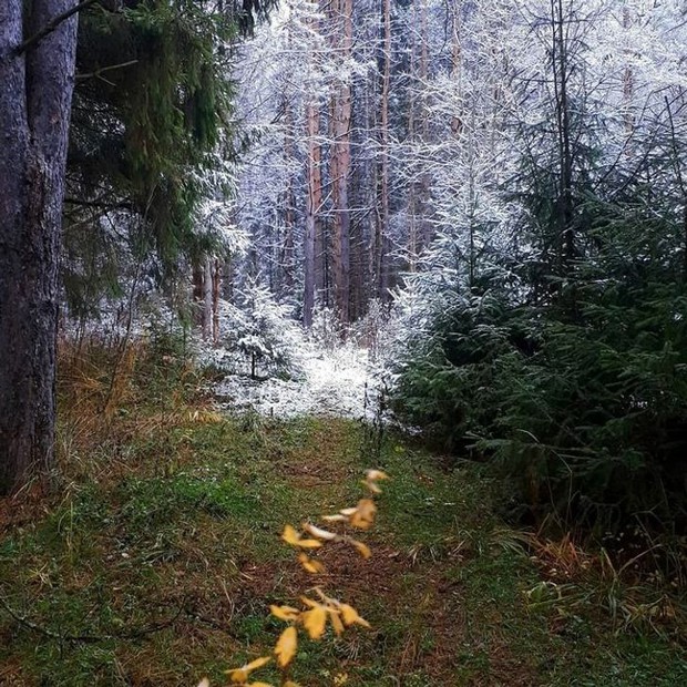 Những lần “mẹ thiên nhiên” đưa chúng ta đi hết từ bất ngờ này sang ngạc nhiên nọ, xem tới đâu bạn sẽ lác mắt tới đó (Phần 3) - Ảnh 9.