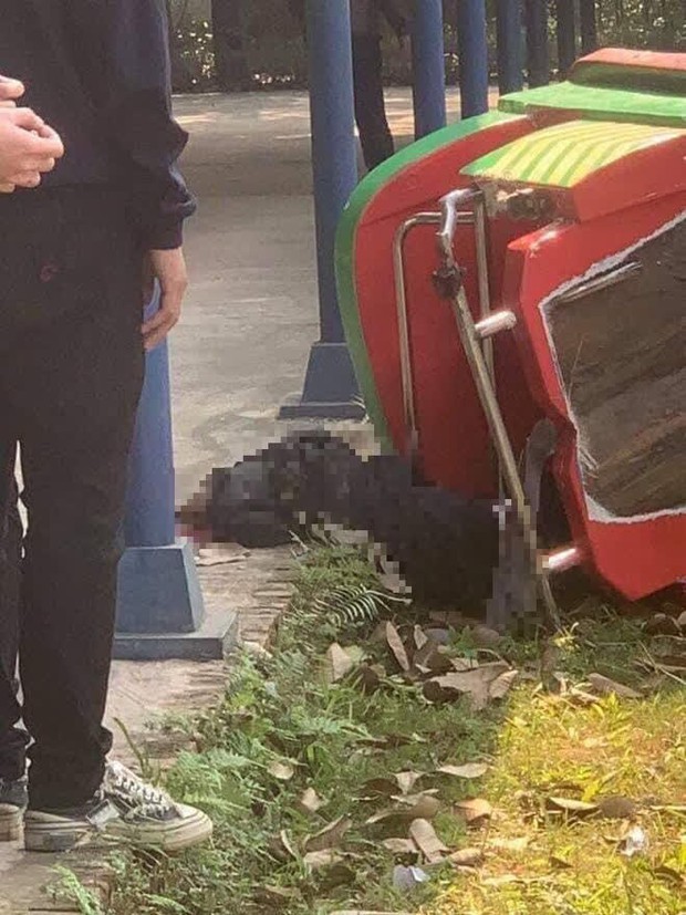 Đình chỉ hoạt động khu du lịch Đảo Ngọc Xanh sau sự cố tàu lượn khiến 1 học sinh tử vong - Ảnh 2.