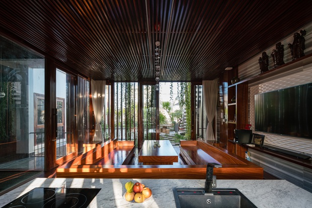 Nhà phố được cải tạo thành nơi trồng rau nuôi cá đúng chất, khu vườn trên mái là mơ ước của nhiều gia đình - Ảnh 9.