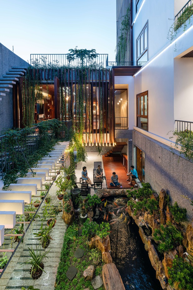 Nhà phố được cải tạo thành nơi trồng rau nuôi cá đúng chất, khu vườn trên mái là mơ ước của nhiều gia đình - Ảnh 4.