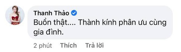 Ca sĩ Thanh Thảo, Quách Tuấn Du và dàn sao Vbiz tiếc thương khi danh ca Lệ Thu qua đời vì Covid-19 - Ảnh 4. Ca sĩ Thanh Thảo, Quách Tuấn Du và dàn sao Vbiz tiếc thương khi danh ca Lệ Thu qua đời vì Covid-19 - Ảnh 4.