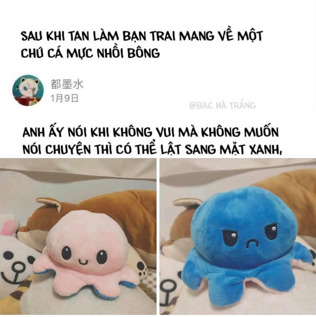 Cái bọn yêu nhau đang phát cuồng với bạch tuộc bông lật mặt, mua ngay một con để a dua thôi! - Ảnh 1. Cái bọn yêu nhau đang phát cuồng với bạch tuộc bông lật mặt, mua ngay một con để a dua thôi! - Ảnh 1.
