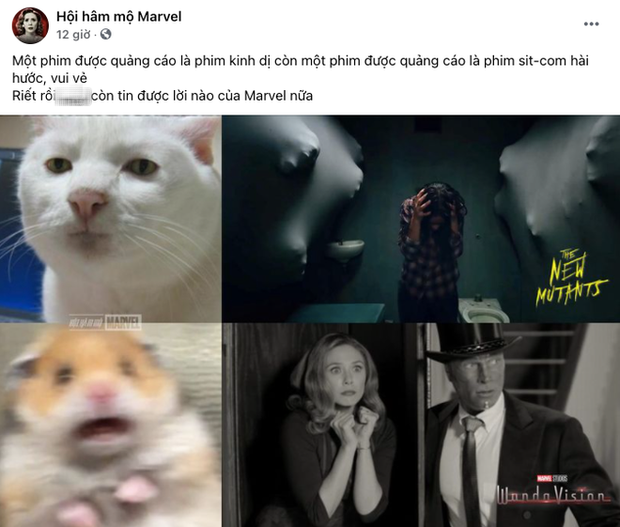 Netizen Việt bùng nổ vì WandaVision quá đỉnh: Vừa hài, vừa cuốn nhưng có một chi tiết xem mà hãi hùng! - Ảnh 2. Netizen Việt bùng nổ vì WandaVision quá đỉnh: Vừa hài, vừa cuốn nhưng có một chi tiết xem mà hãi hùng! - Ảnh 2.