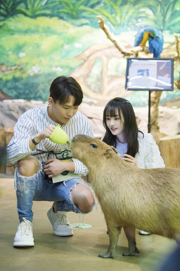 Phốt chấn động của Trịnh Sảng khiến cổ phiếu Prada tụt dốc, chủ tạp chí thời trang cũng choáng váng - Ảnh 3.