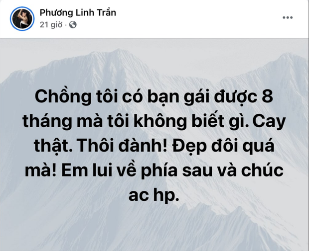 Phương Linh bất ngờ công khai chồng lén lút có bạn gái , gửi lời chúc hạnh phúc đến cặp đôi, sự thật là sao? - Ảnh 2.