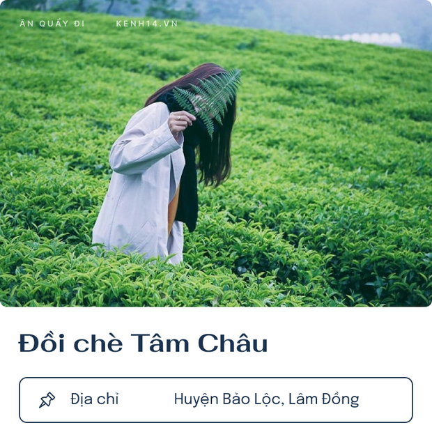 Top 8 đồi trà xanh chụp ảnh sống ảo hot nhất Việt Nam đang được giới trẻ săn lùng - Ảnh 4.