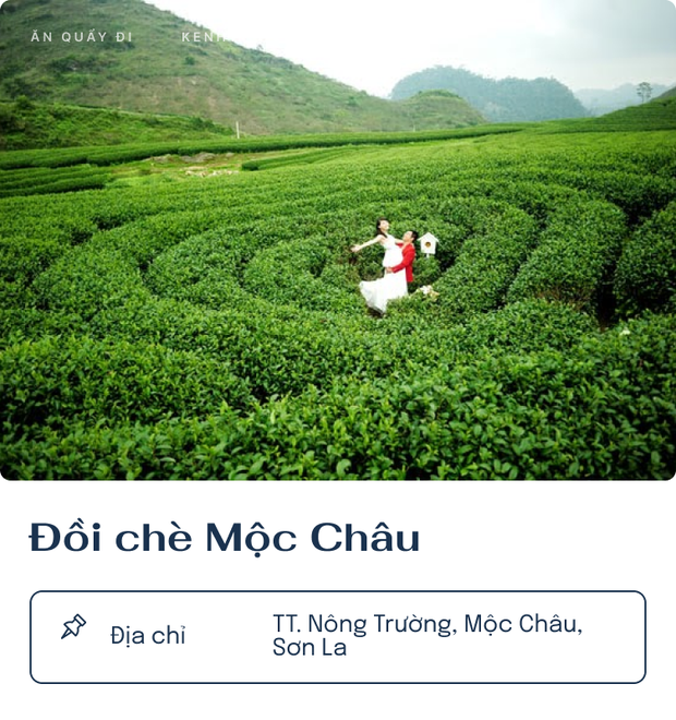 Top 8 đồi trà xanh chụp ảnh sống ảo hot nhất Việt Nam đang được giới trẻ săn lùng - Ảnh 5.