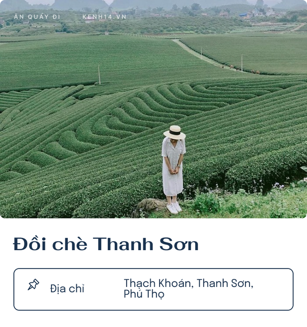 Top 8 đồi trà xanh chụp ảnh sống ảo hot nhất Việt Nam đang được giới trẻ săn lùng - Ảnh 8.