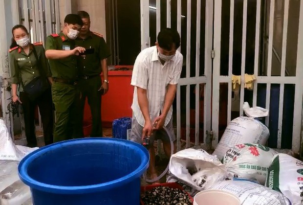 Đột kích cơ sở mỗi ngày tuồn hàng tấn ốc ngậm hóa chất ra thị trường - Ảnh 1. Đột kích cơ sở mỗi ngày tuồn hàng tấn ốc ngậm hóa chất ra thị trường - Ảnh 1.