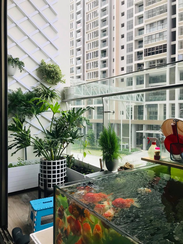 Bán nhà chung cư 2 phòng ngủ, cô nàng chuyển về căn hộ 39m2 ở Phú Mỹ Hưng để trồng cây, nuôi cá - Ảnh 8. Bán nhà chung cư 2 phòng ngủ, cô nàng chuyển về căn hộ 39m2 ở Phú Mỹ Hưng để trồng cây, nuôi cá - Ảnh 8.
