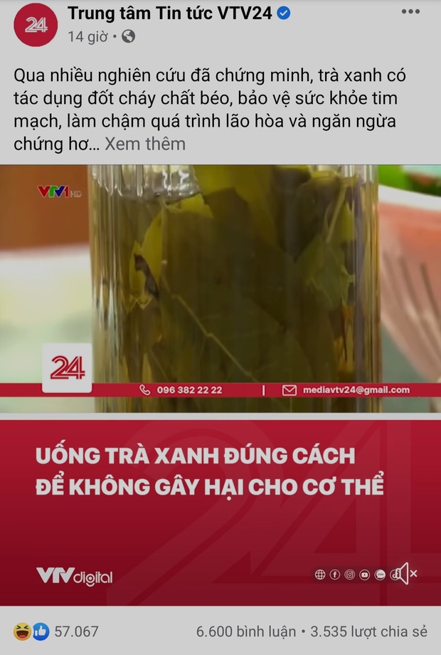 VTV bất ngờ có mặt giữa tâm biến Sơn Tùng - trà xanh, đăng post kiến thức ngỡ không liên quan mà khiến netizen vỗ tay rần rần - Ảnh 2. VTV bất ngờ có mặt giữa tâm biến Sơn Tùng - trà xanh, đăng post kiến thức ngỡ không liên quan mà khiến netizen vỗ tay rần rần - Ảnh 2.