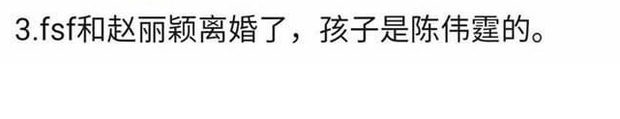HOT: Triệu Lệ Dĩnh ly hôn Phùng Thiệu Phong, con trai thực chất là của nữ diễn viên và Trần Vỹ Đình? - Ảnh 2.
