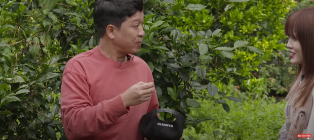 Clip: Trường Giang từng dụ Thiều Bảo Trâm ăn trái trà xanh, cô nàng nghe xong chỉ biết cười há há là vì sao? - Ảnh 3. Clip: Trường Giang từng dụ Thiều Bảo Trâm ăn trái trà xanh, cô nàng nghe xong chỉ biết cười há há là vì sao? - Ảnh 3.