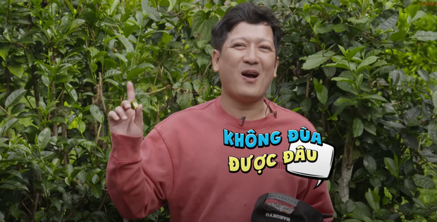 Clip: Trường Giang từng dụ Thiều Bảo Trâm ăn trái trà xanh, cô nàng nghe xong chỉ biết cười há há là vì sao? - Ảnh 4. Clip: Trường Giang từng dụ Thiều Bảo Trâm ăn trái trà xanh, cô nàng nghe xong chỉ biết cười há há là vì sao? - Ảnh 4.