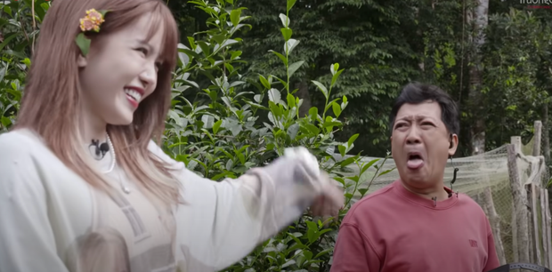 Clip: Trường Giang từng dụ Thiều Bảo Trâm ăn trái trà xanh, cô nàng nghe xong chỉ biết cười há há là vì sao? - Ảnh 5. Clip: Trường Giang từng dụ Thiều Bảo Trâm ăn trái trà xanh, cô nàng nghe xong chỉ biết cười há há là vì sao? - Ảnh 5.